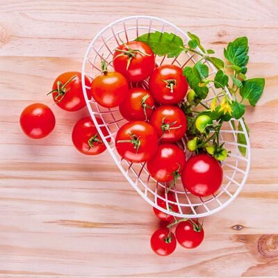 Mega Cherry Tomato Seed Pod Kit